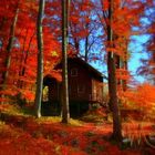 Autumn in Bavaria