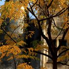 Autumn in Bordeaux, SW of France