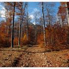 Autumn in Bulgaria