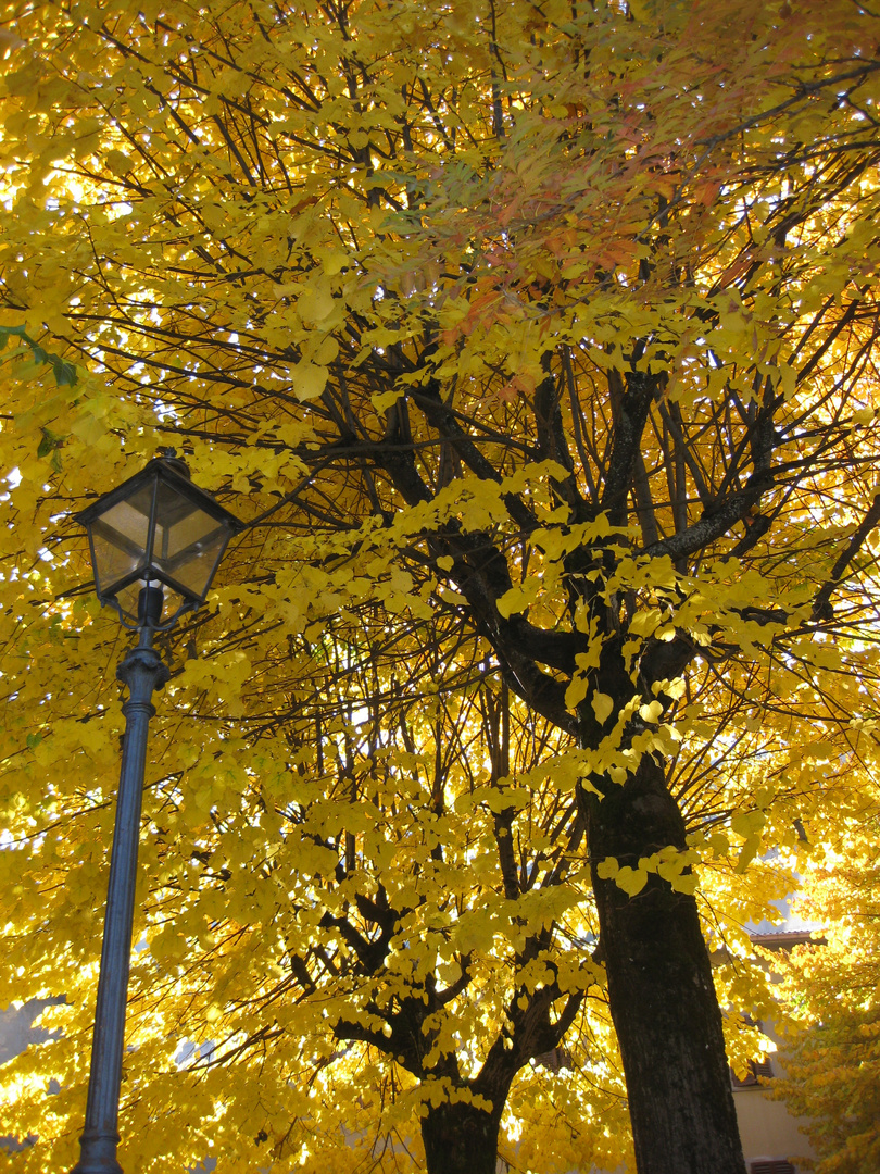 Autumn in Castiglione