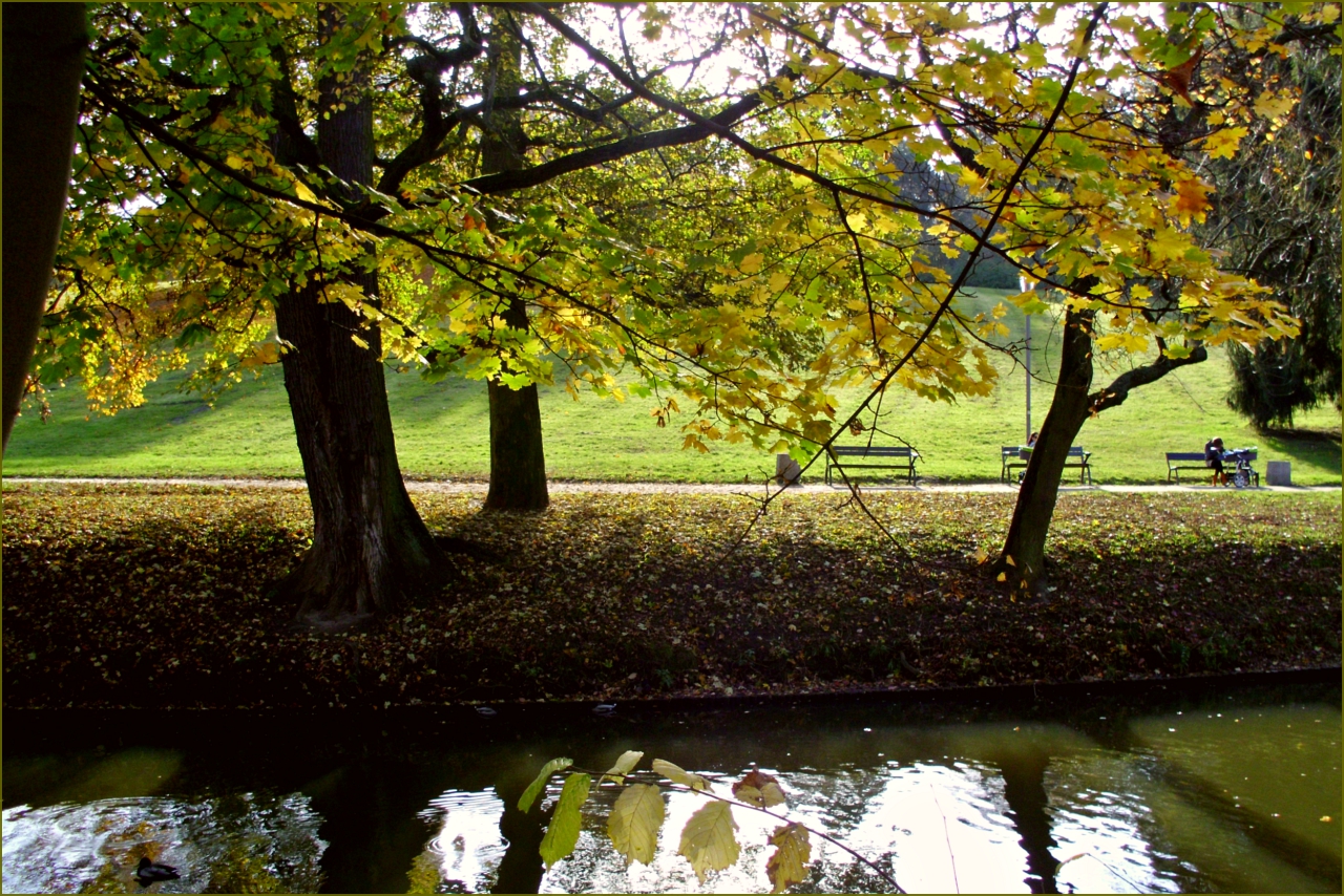 Autumn in city park