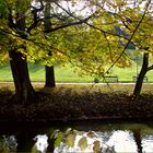 Autumn in city park