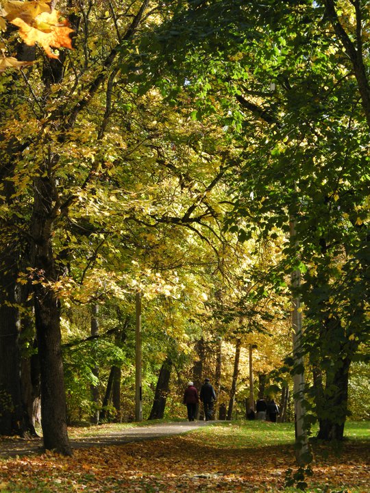 Autumn in Estonia