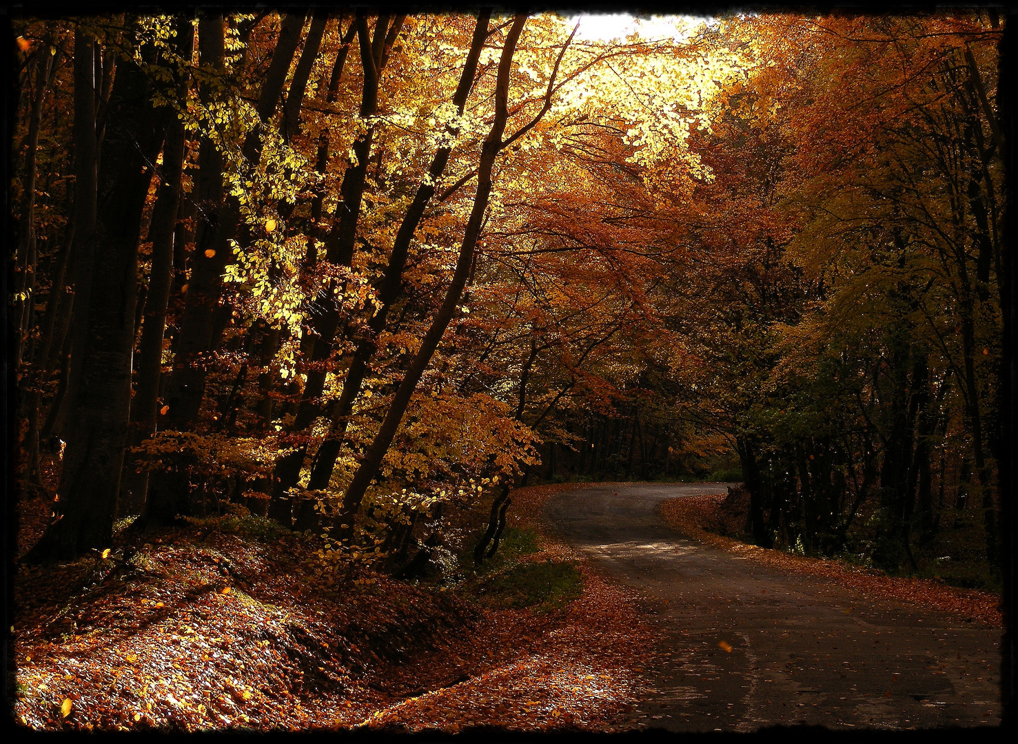 Autumn in Faget, Cluj, Romania.