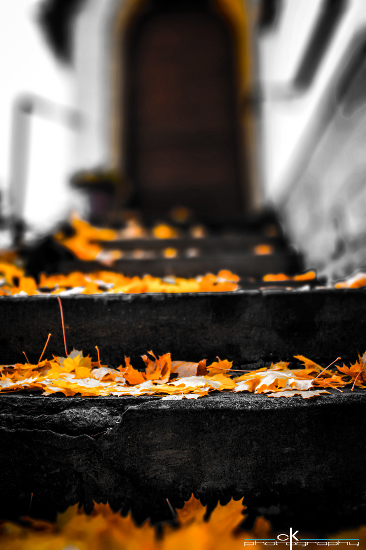 autumn in front of my door