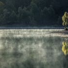 autumn in glen affric