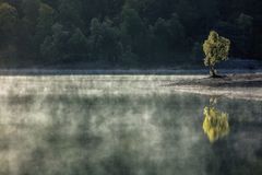 autumn in glen affric