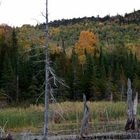 Autumn in Grand Portage, MN