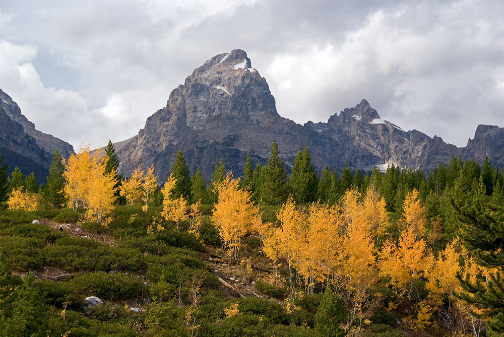 +++ Autumn in Grand Teton +++