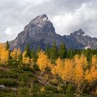 +++ Autumn in Grand Teton +++