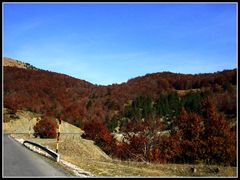 Autumn in Greece