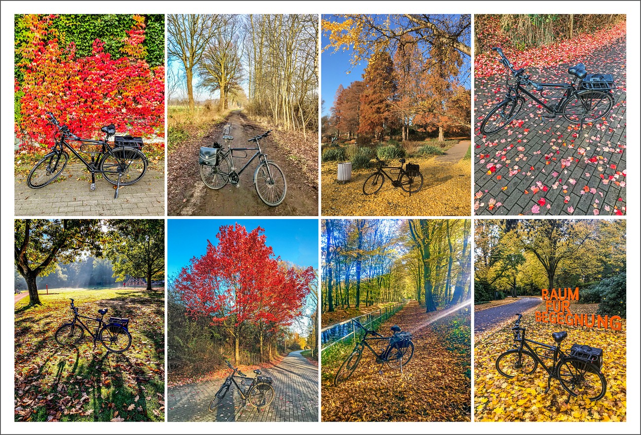 Autumn in Hamburg ... * by bike *