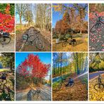 Autumn in Hamburg ... * by bike *