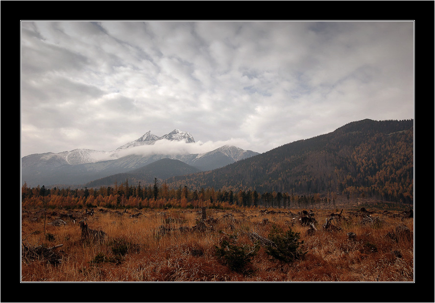 Autumn in High Tatras