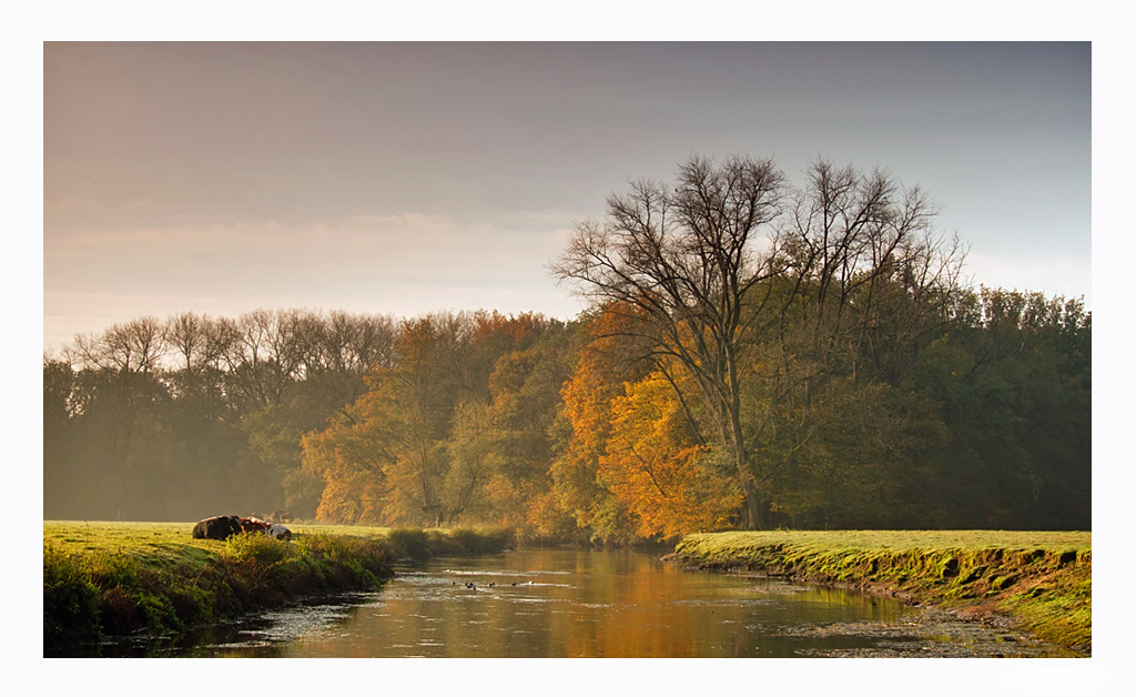 Autumn in Holland.