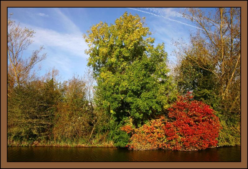 Autumn in Hungerford