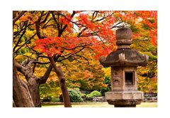 Autumn In Japan 2012-24