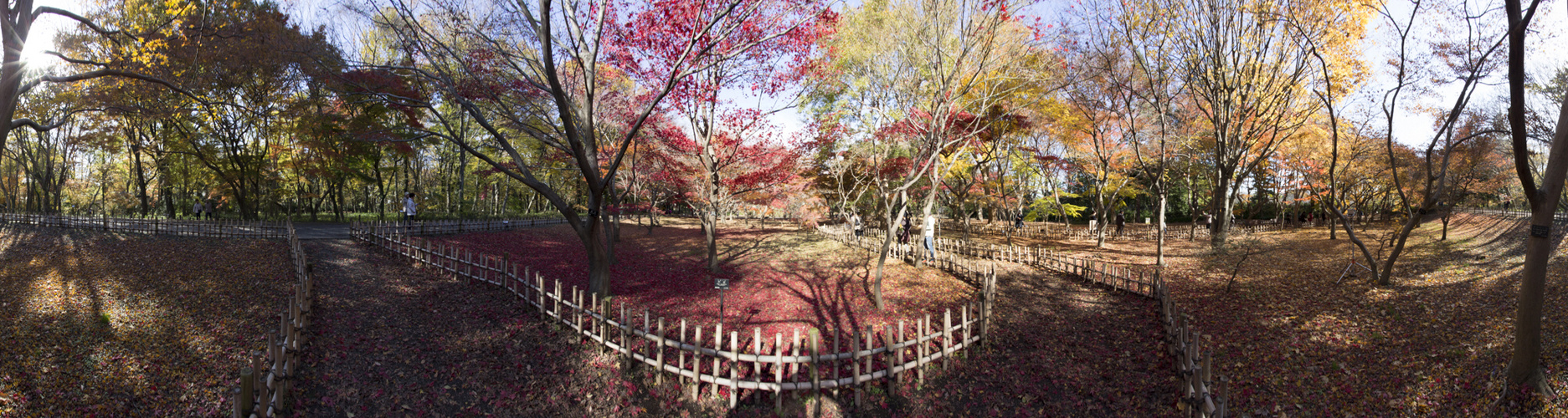 Autumn In Japan 2012-25