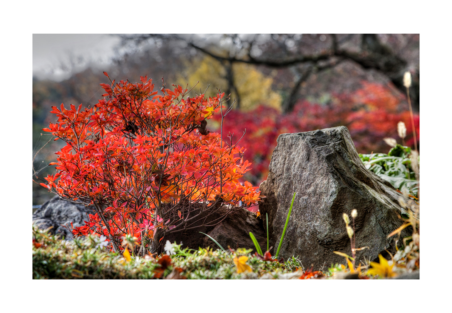 Autumn In Japan 2012-27