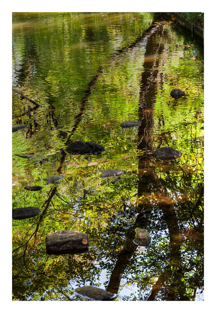 Autumn In Japan 2012-28