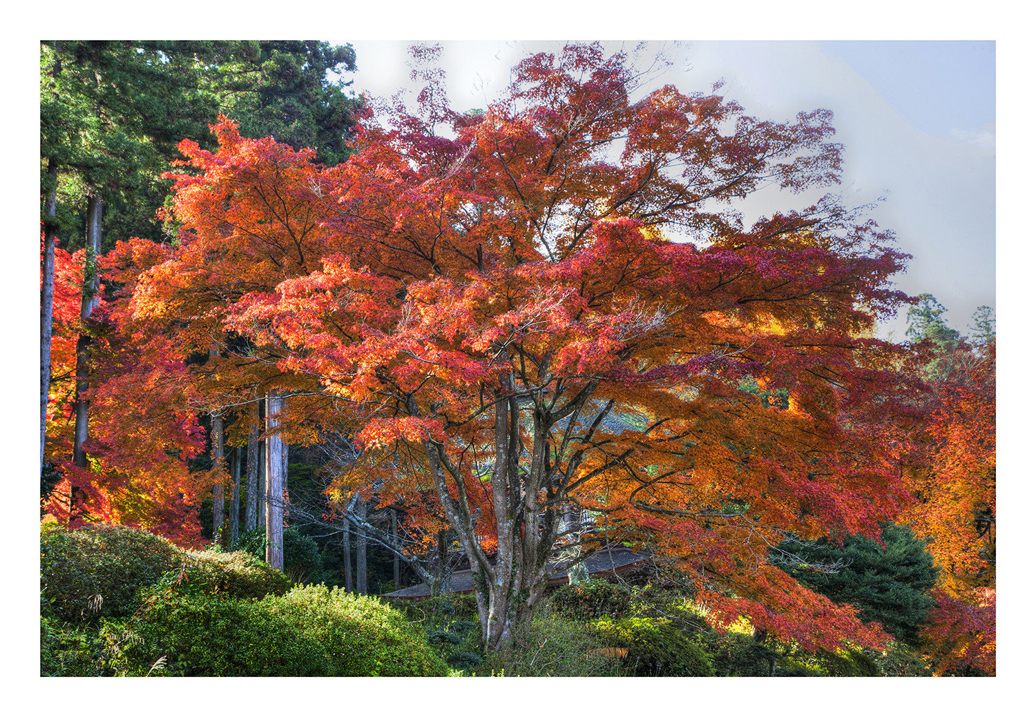 Autumn In Japan 2012-29