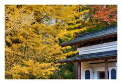 Autumn In Japan 2012-31