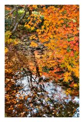 Autumn In Japan 2012-33