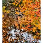 Autumn In Japan 2012-33