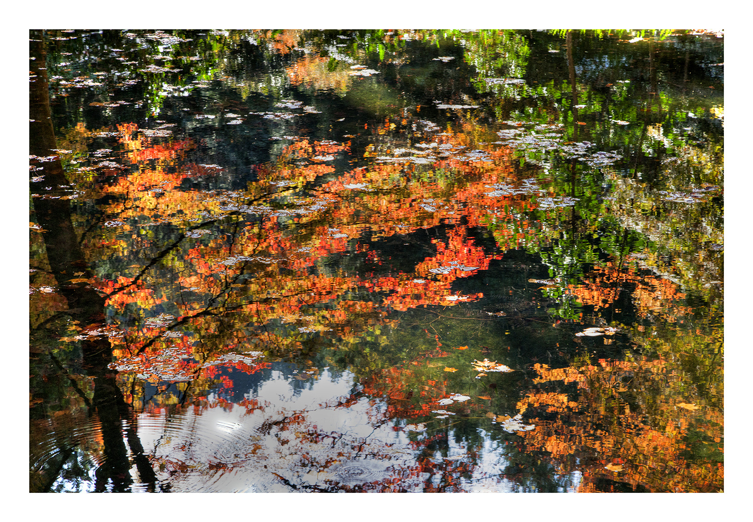 Autumn In Japan 2012-35