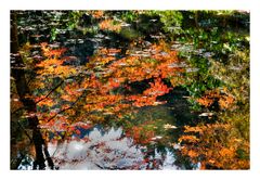 Autumn In Japan 2012-35