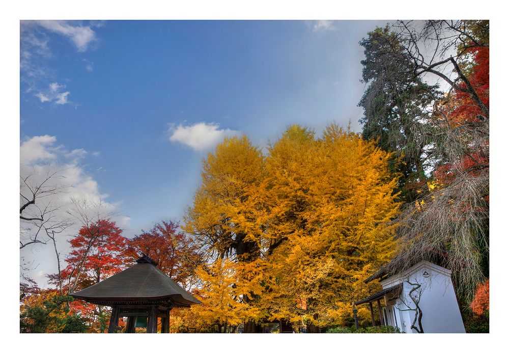 Autumn In Japan 2012-37