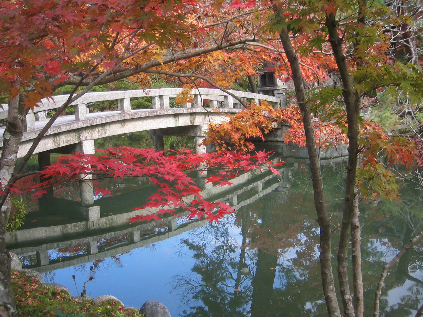 Autumn in Kyoto Jingu Shrine Garden / Herbst in rotem Gewand