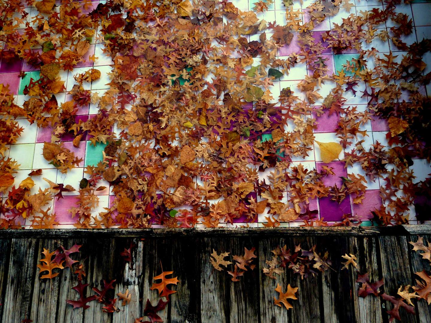 Autumn in Lisbon