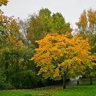 autumn in london