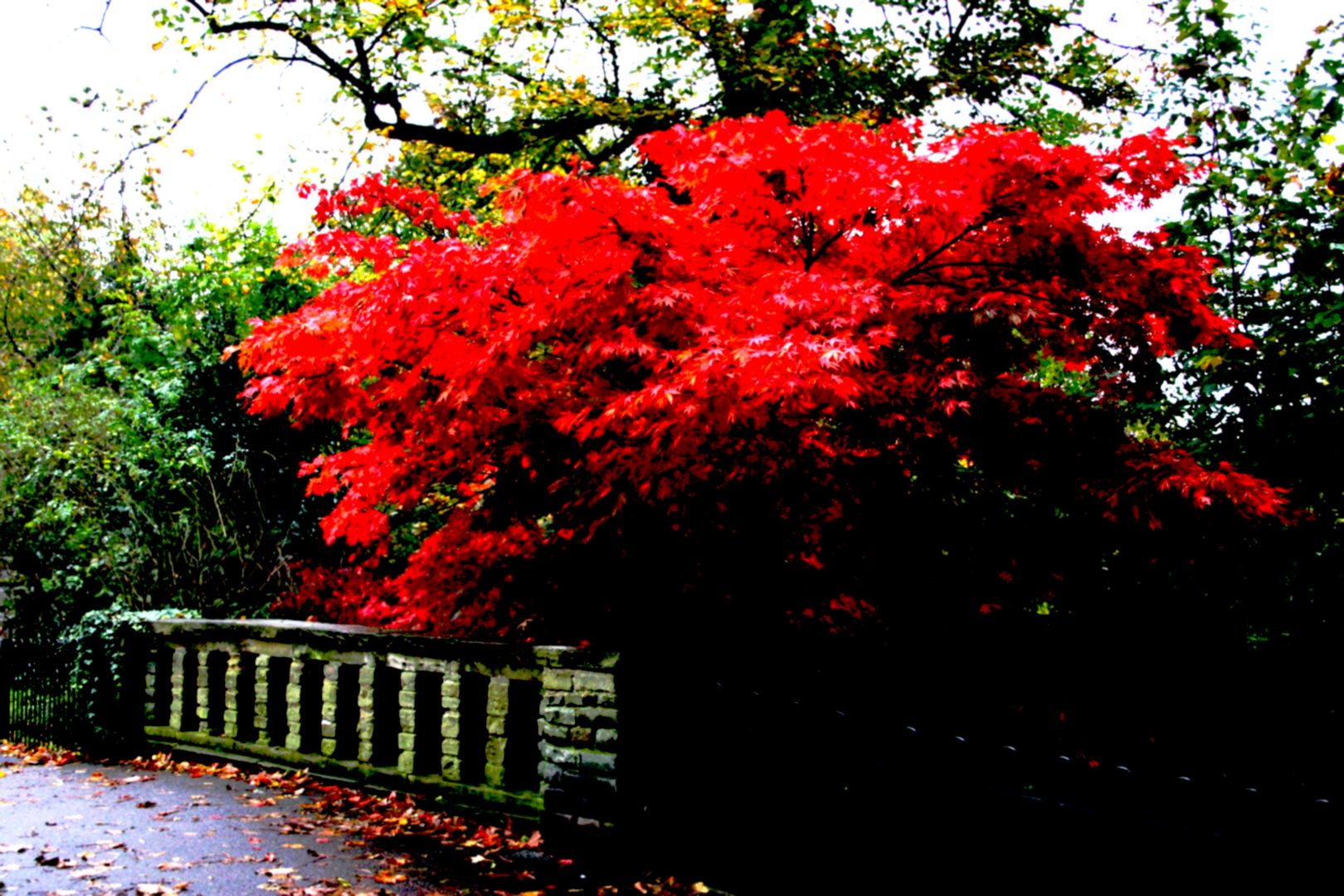 autumn in london part 2