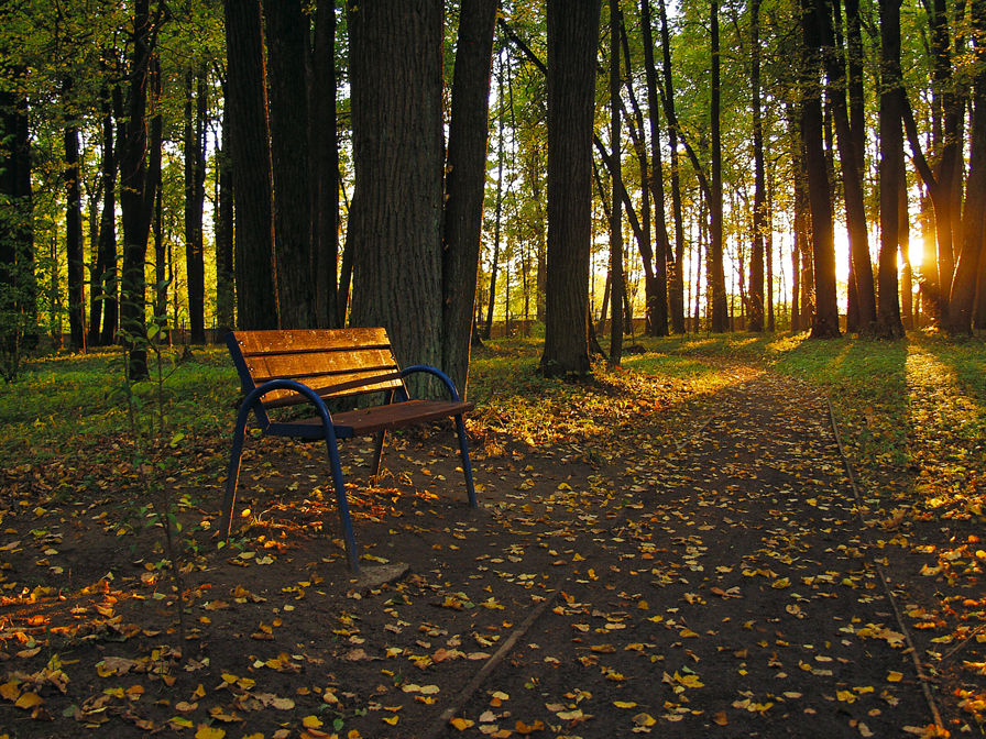 Autumn In Moscow Park