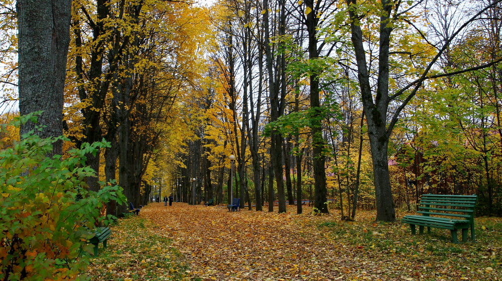 Autumn in Moscow region