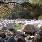 Autumn in Mount Kumgang