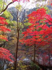 Autumn in Mount Kumgang