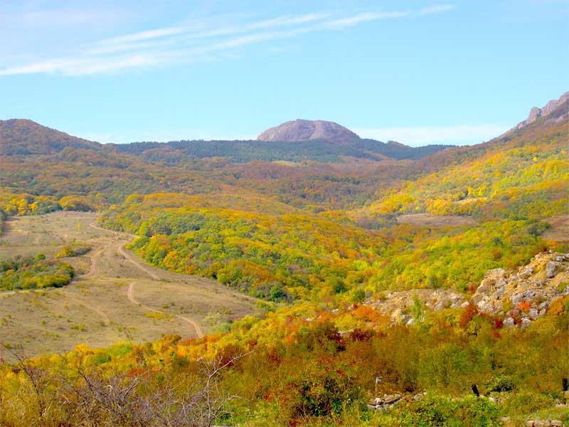 Autumn in mountains