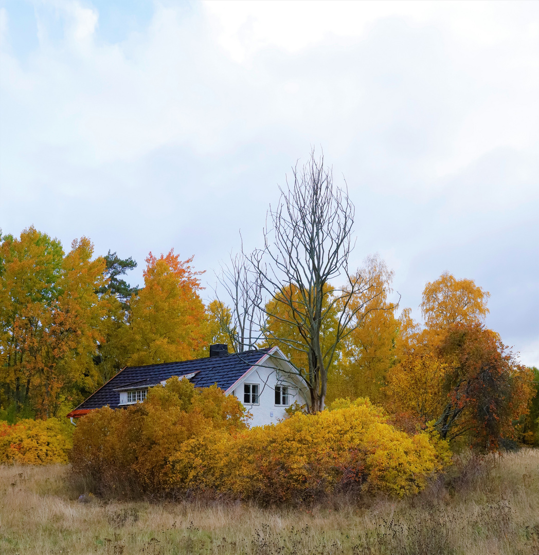 Autumn in my hometown / Bålsta