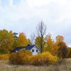 Autumn in my hometown / Bålsta