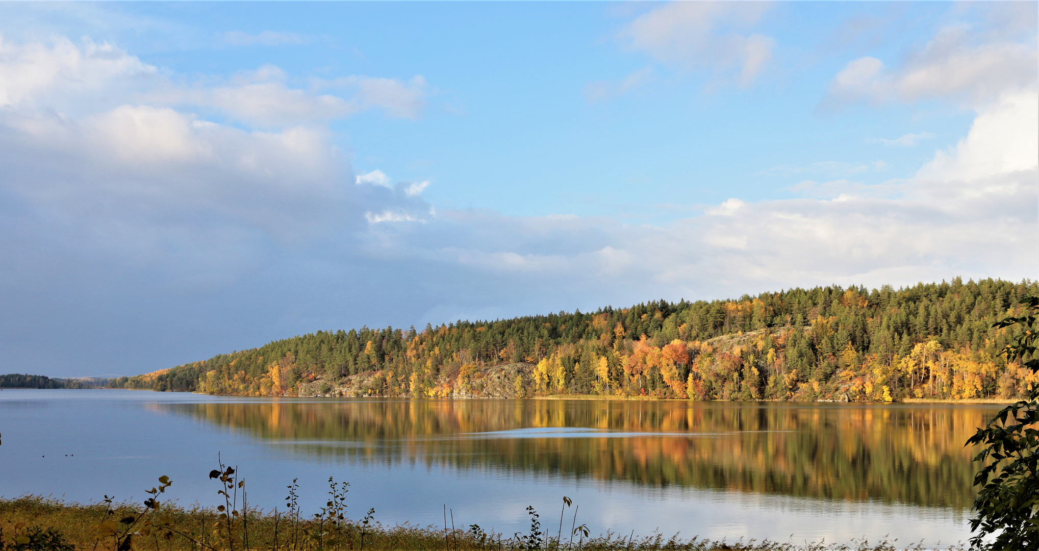 Autumn in my hometown / Bålsta