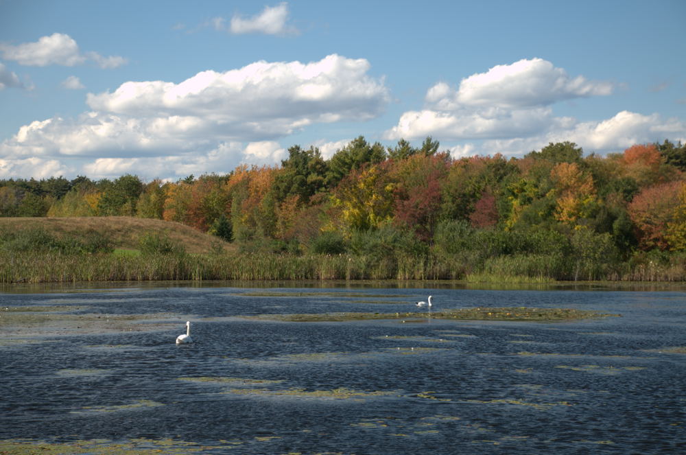 Autumn in New England