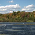 Autumn in New England