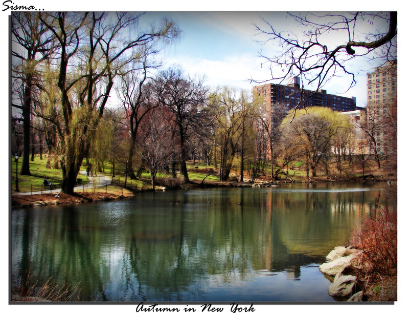 Autumn in New-York