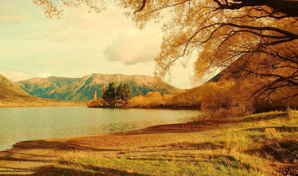 autumn in new zealand