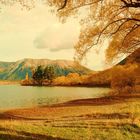 autumn in new zealand