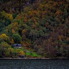 autumn in norwegian fjords