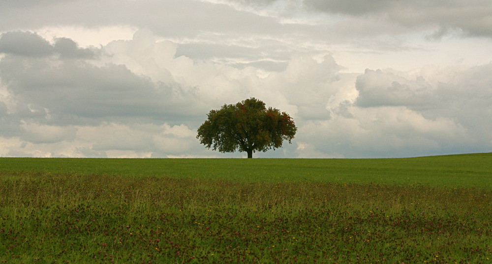 Autumn in Nuremberg